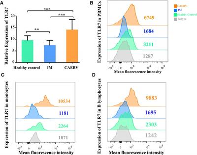 Increased expression of the TLR7/9 signaling pathways in chronic active EBV infection